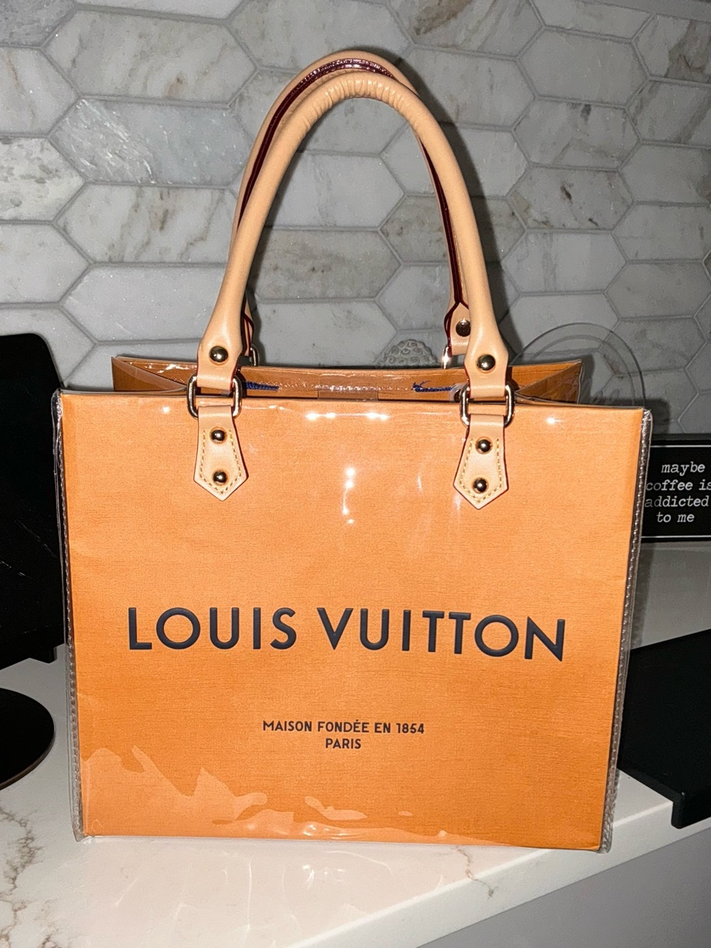 Louis Vuitton Paper Shopping Bag with PVC Protector